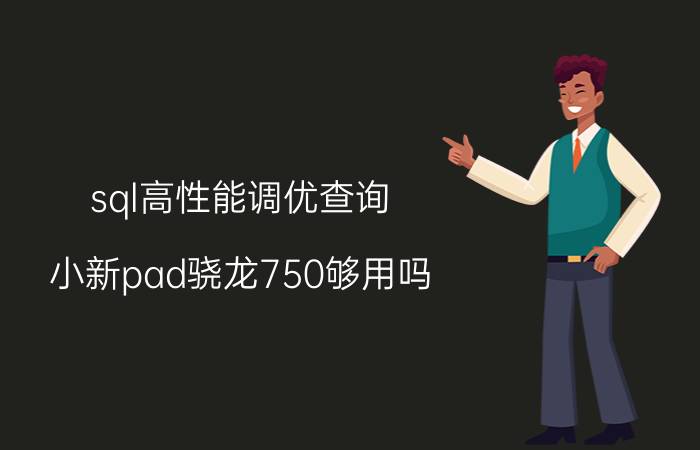 sql高性能调优查询 小新pad骁龙750够用吗？